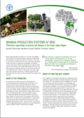 Banana production systems at risk. Effectively responding to banana wilt disease in the Great Lakes Region (FAO. 2011)